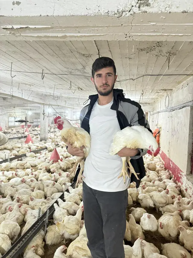 Inside a poultry house, SHER Company